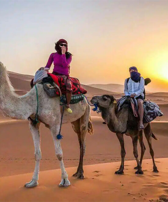 Sands and Secrets: Grand Desert Tour of Southern Morocco in 7 Days