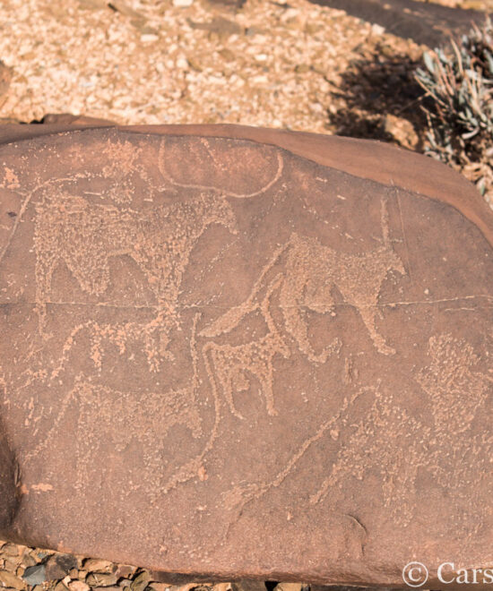 Ancient Messages in Stone: Morocco's Hidden Treasures